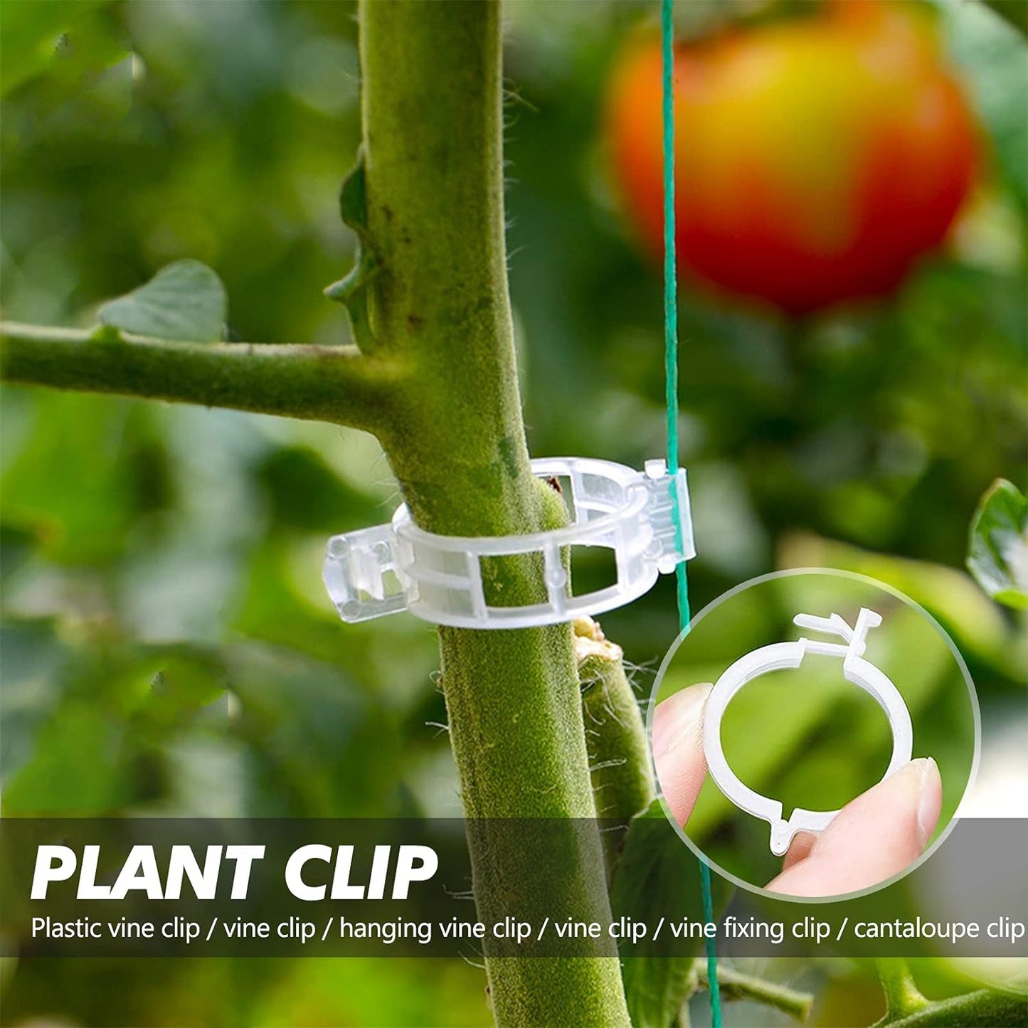 Garden Clips for Plant Support and Grafting