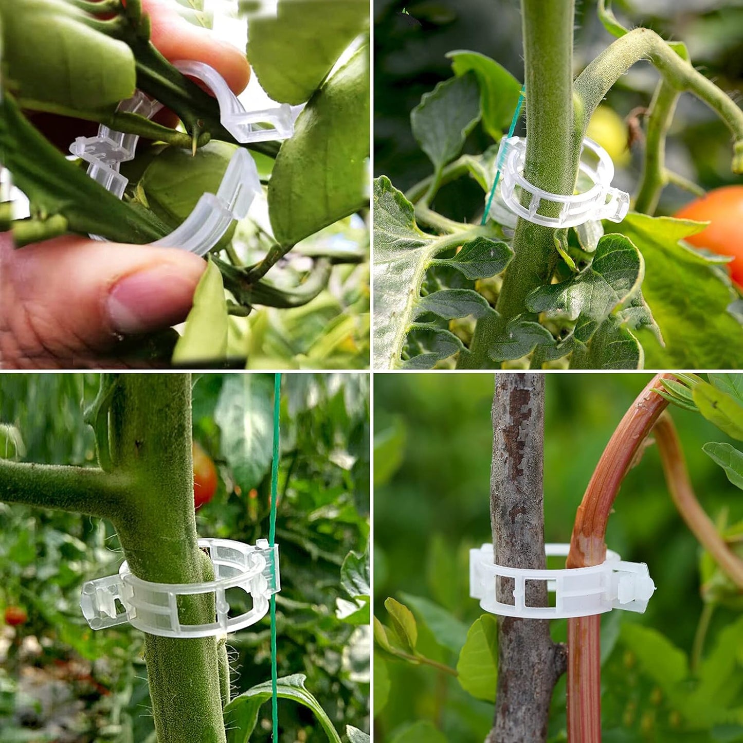 Garden Clips for Plant Support and Grafting