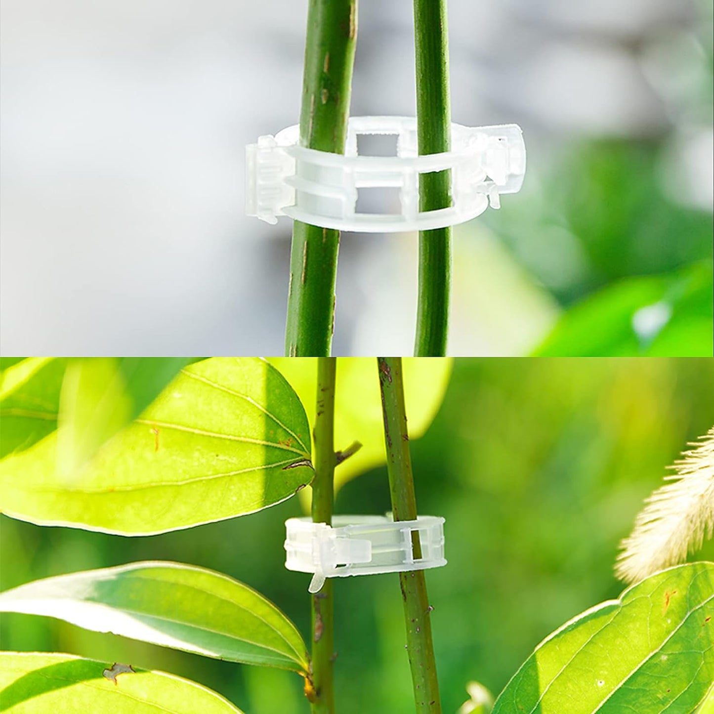 Garden Clips for Plant Support and Grafting