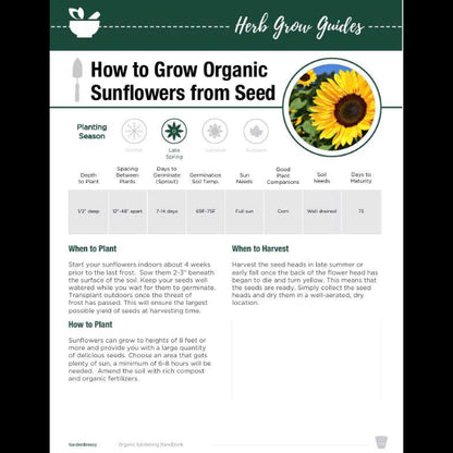 The Complete Organic Gardening Handbook | GardenBreezy