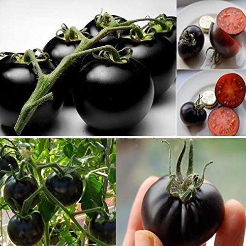 Black Pearl Tomato Seeds