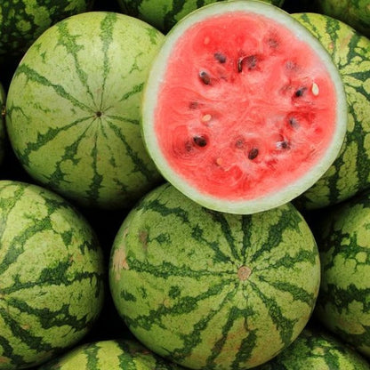 Lazy Watermelon Seeds
