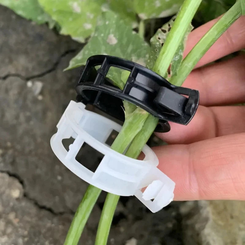 Garden Clips for Plant Support and Grafting