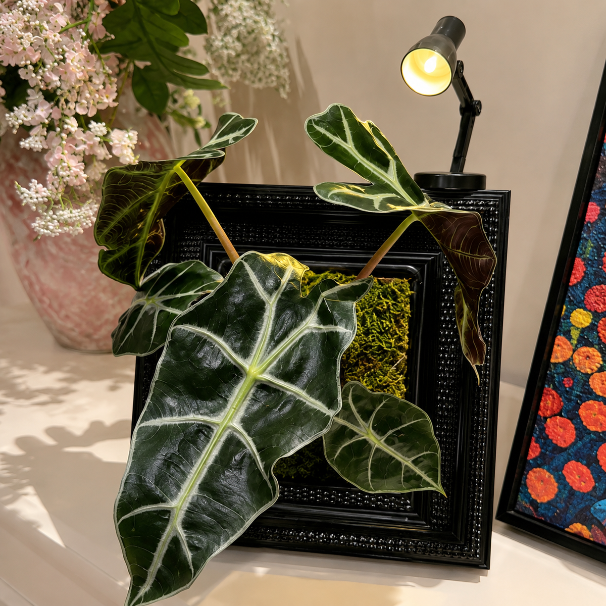 Living Garden Frame Kit – Indoor Plant Display with Grow Light