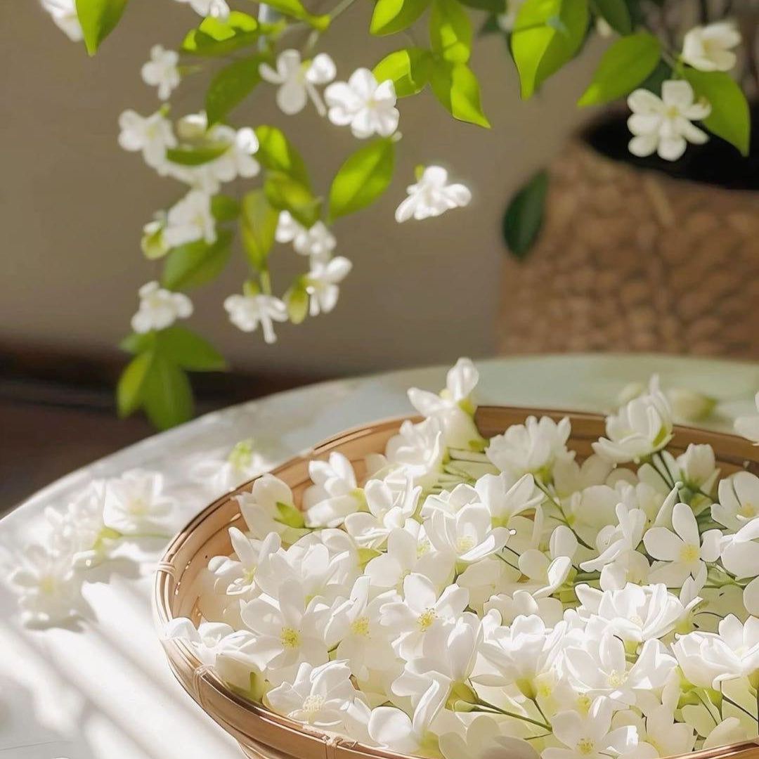 Majestic Jasmine Seeds • gardenbreezy