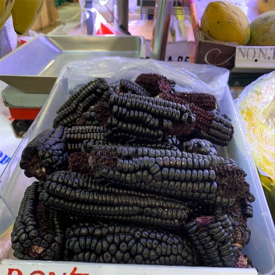 Corn Seeds (Organic) - Black Hopi