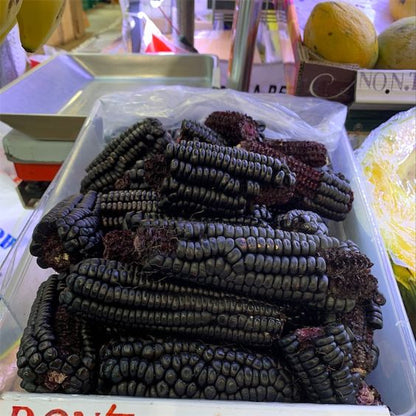 Corn Seeds (Organic) - Black Hopi