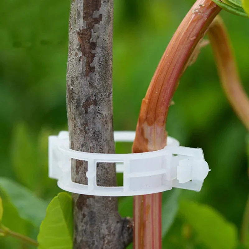 Garden Clips for Plant Support and Grafting