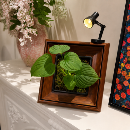Living Garden Frame Kit – Indoor Plant Display with Grow Light