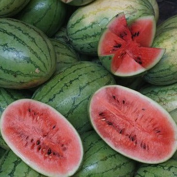 Lazy Watermelon Seeds