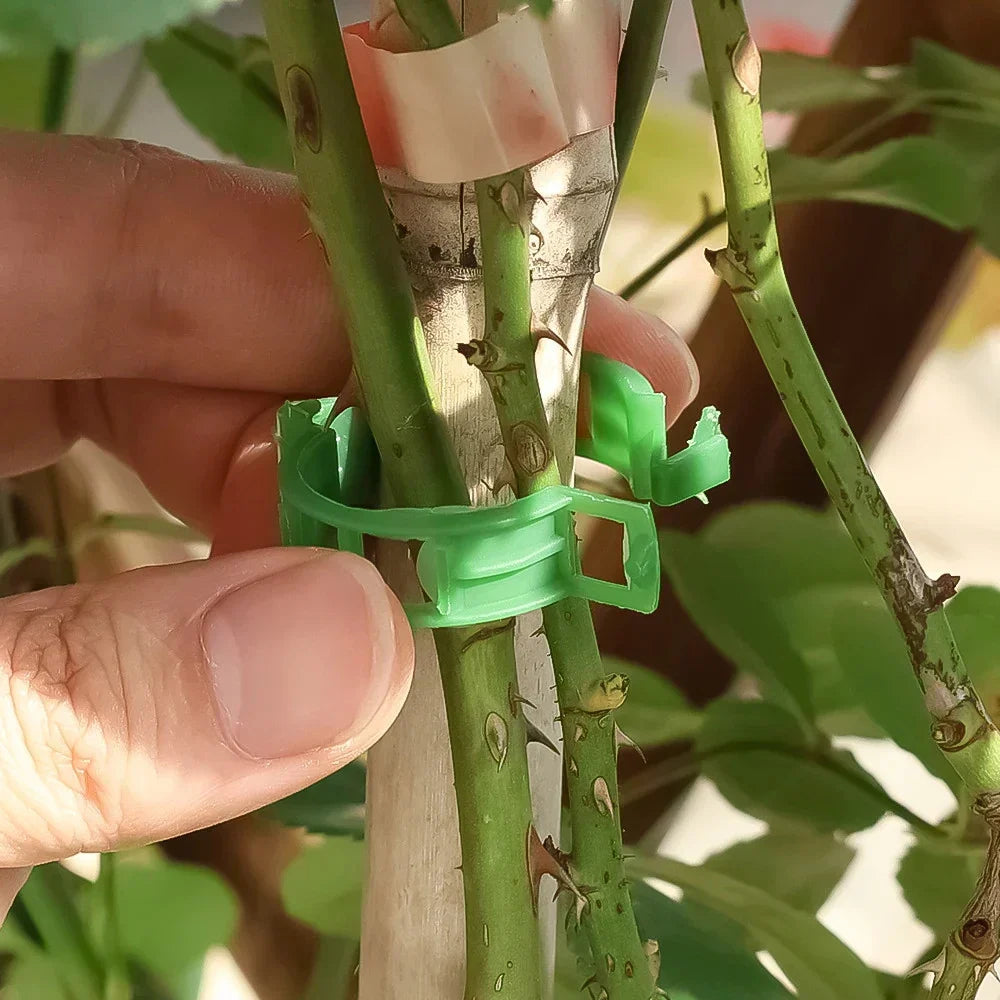 Garden Clips for Plant Support and Grafting