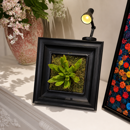 Living Garden Frame Kit – Indoor Plant Display with Grow Light