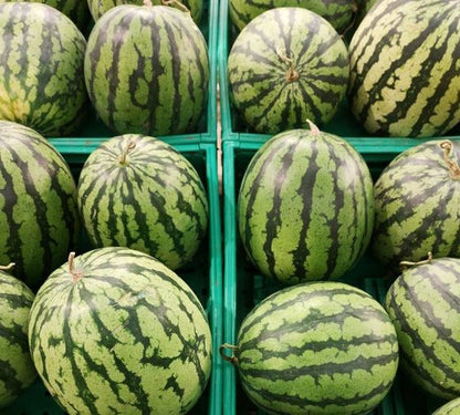 Lazy Watermelon Seeds