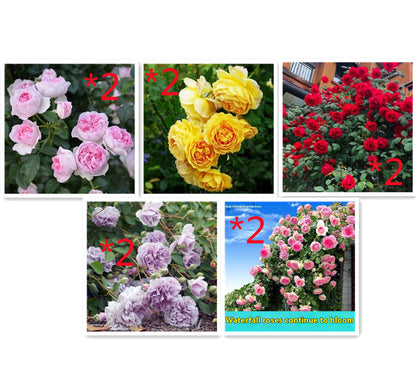 5e58638e19025dc5bd01f188707be62a