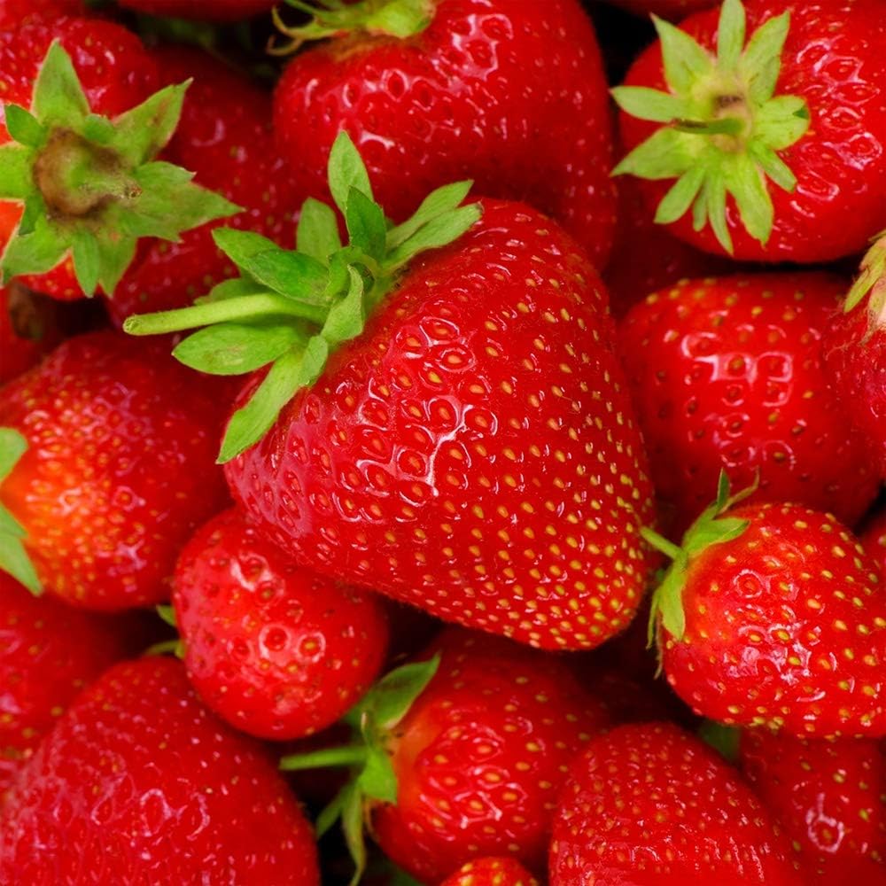 Royal Strawberry Seed  • gardenbreezy