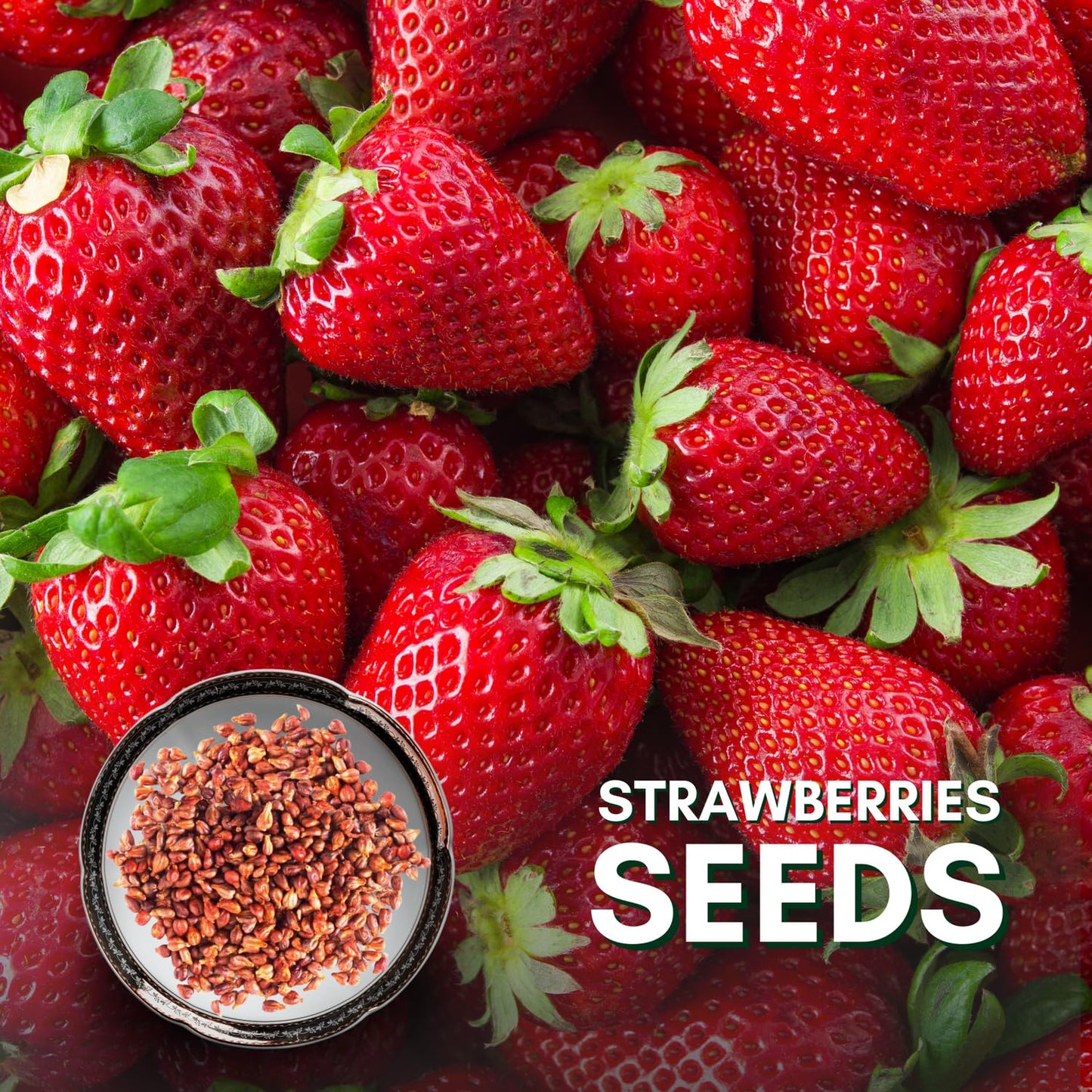 Royal Strawberry Seed  • gardenbreezy