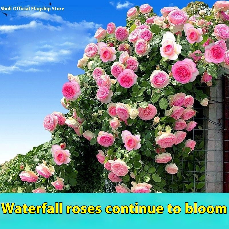 f7534cc2a697089fa45544f0b1657b