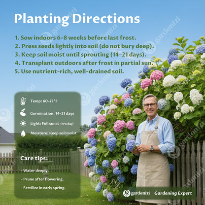 Royal Hydrangea Seeds | gardenbreezy