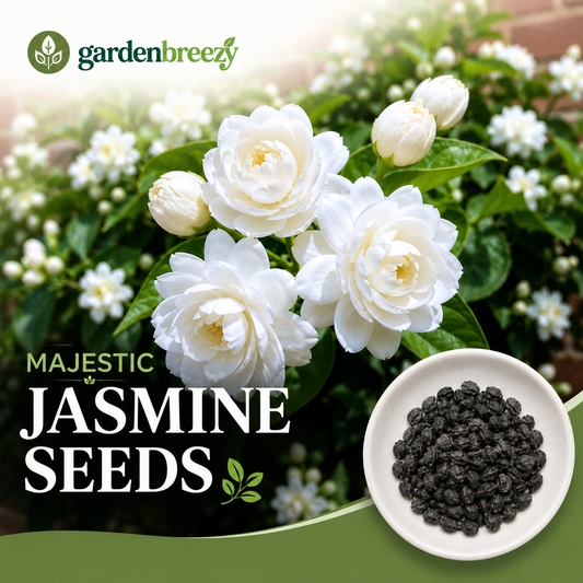 Majestic Jasmine Seeds • gardenbreezy