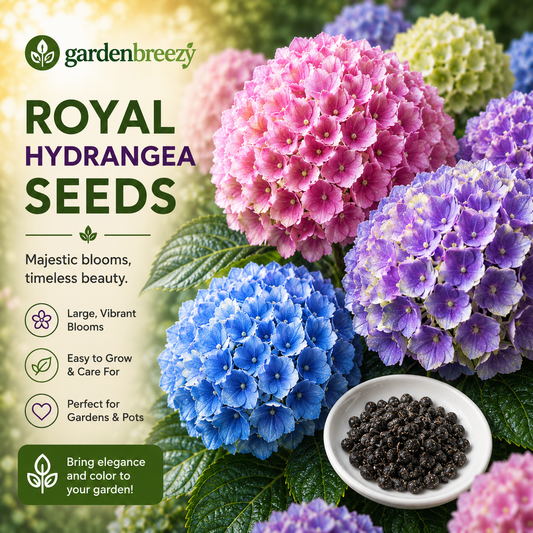 Royal Hydrangea Seeds | gardenbreezy