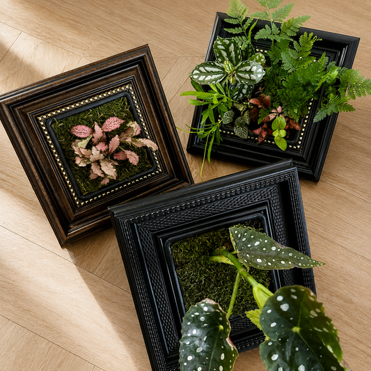 Living Garden Frame Kit – Indoor Plant Display with Grow Light