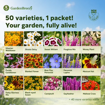 Mixed Wild Flower Seeds  • gardenbreezy