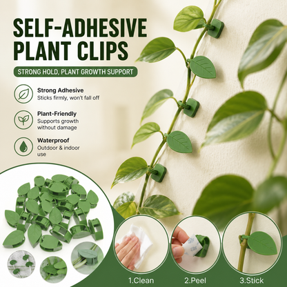 Self-Adhesive Plant Climbing Wall Clips