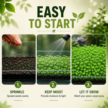 Mini Leaf Aquarium Carpet Seeds