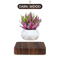 DarkWood
