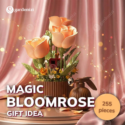 Magic BloomRose • Gardenbreezy