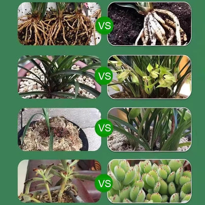 Plant Nutrient Solution • gardenbreezy