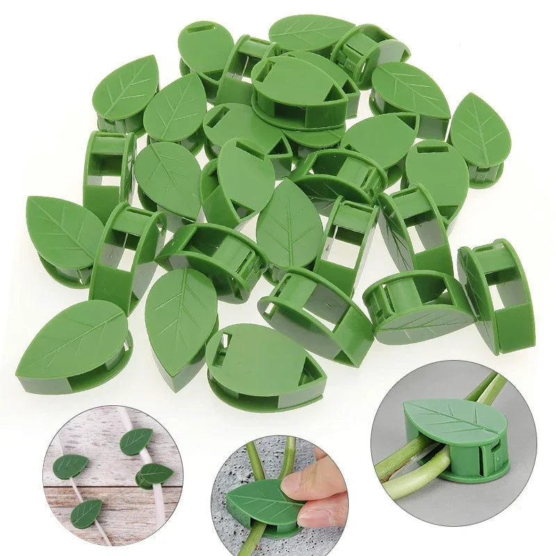 Self-Adhesive Plant Climbing Wall Clips