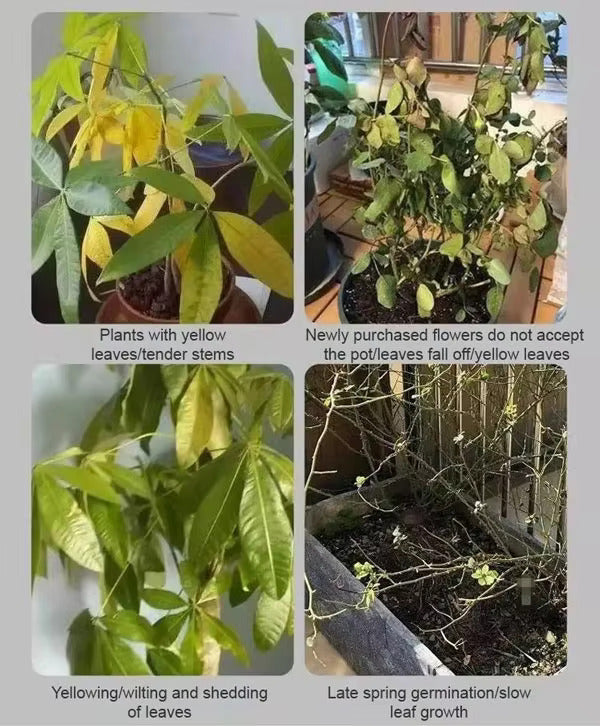 Plant Nutrient Solution • gardenbreezy