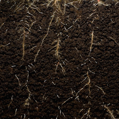 Plant Nutrient Solution • gardenbreezy