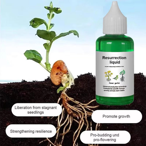 Plant Nutrient Solution • gardenbreezy