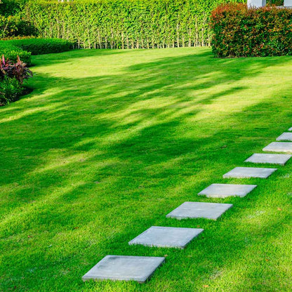 Royal Grass Seeds • gardenbreezy