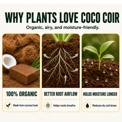 Organic Coconut Coir • gardenbreezy