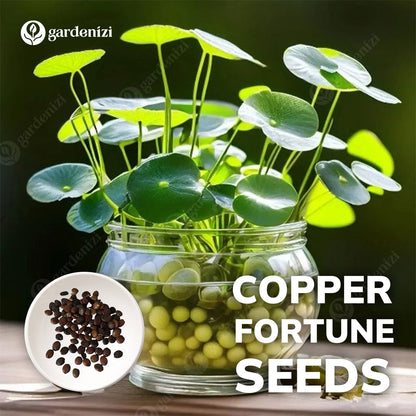 Copper Fortune Seeds • gardenbreezy