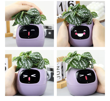 AI Smart Flowerpot |gardenbreezy