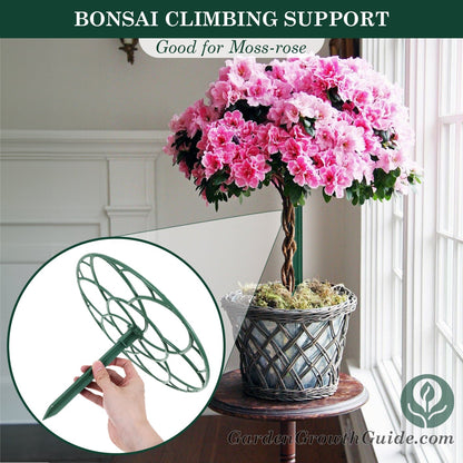 MossRose Climbing Support (2Pcs)