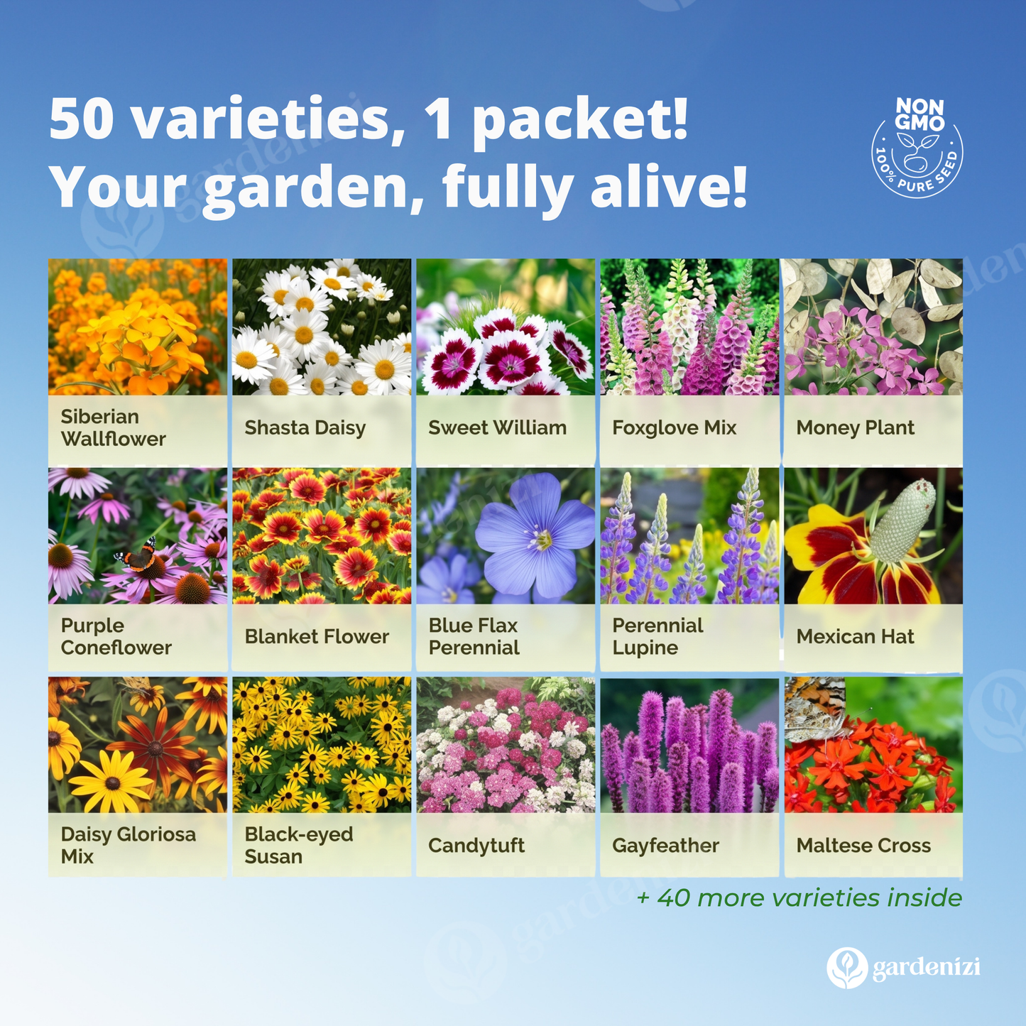 Mixed Wild Flower Seeds  • gardenbreezy