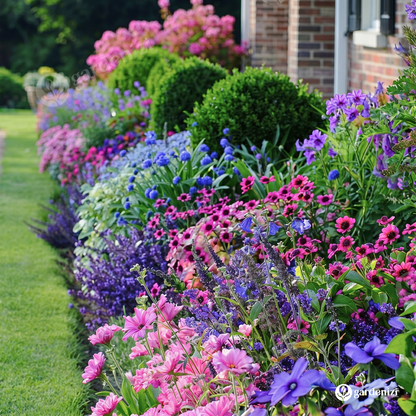 Mixed Wild Flower Seeds  • gardenbreezy