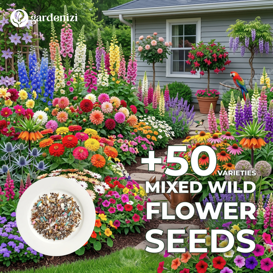 Mixed Wild Flower Seeds  • gardenbreezy