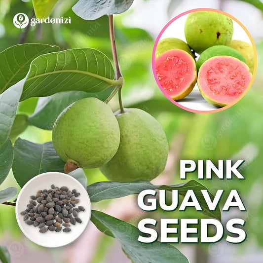Pink Guava Seeds • gardenbreezy